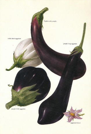 Eggplants